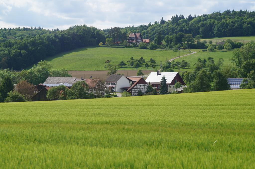 Bolderhof Villa Hemishofen Dış mekan fotoğraf